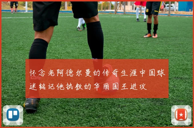 怀念老阿德尔曼的传奇生涯中国球迷铭记他执教的华丽国王进攻