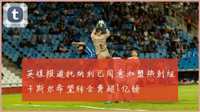 英媒报道托纳利已同意加盟热刺纽卡斯尔希望转会费超1亿镑